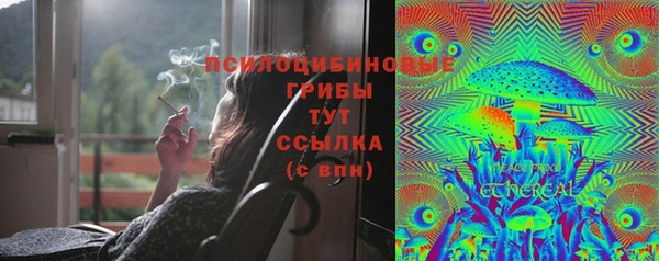 гашик Михайловка