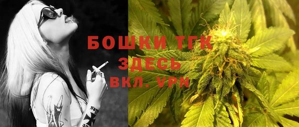 гашик Михайловка