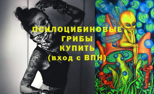 хмурый Михайлов