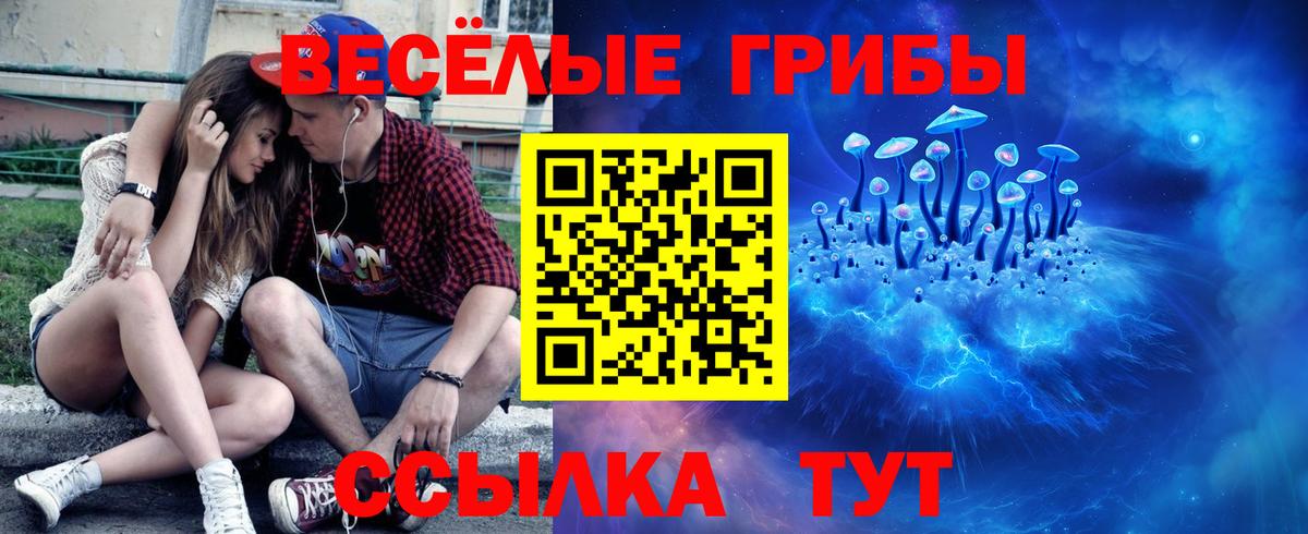 Псилоцибиновые грибы Psilocybe Коломна